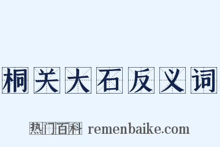 桐关大石反义词是什么意思的图片